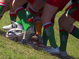 NRL Development Cup news