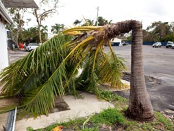 Cyclone advice for parents & students